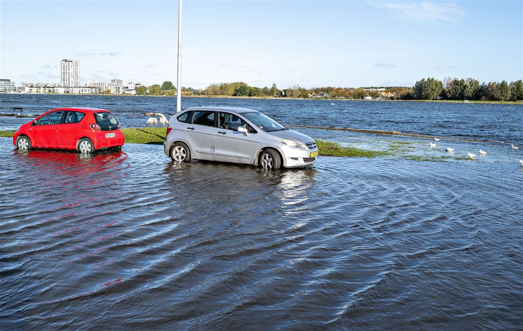 biler holder i oversvømmet havneområde 