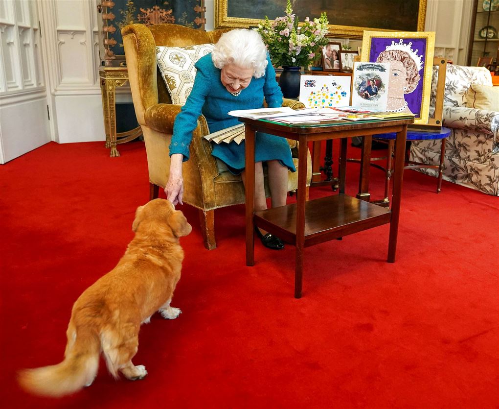 en gammel dame ved et bord og en hund