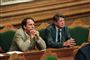 mand sidder i folketinget