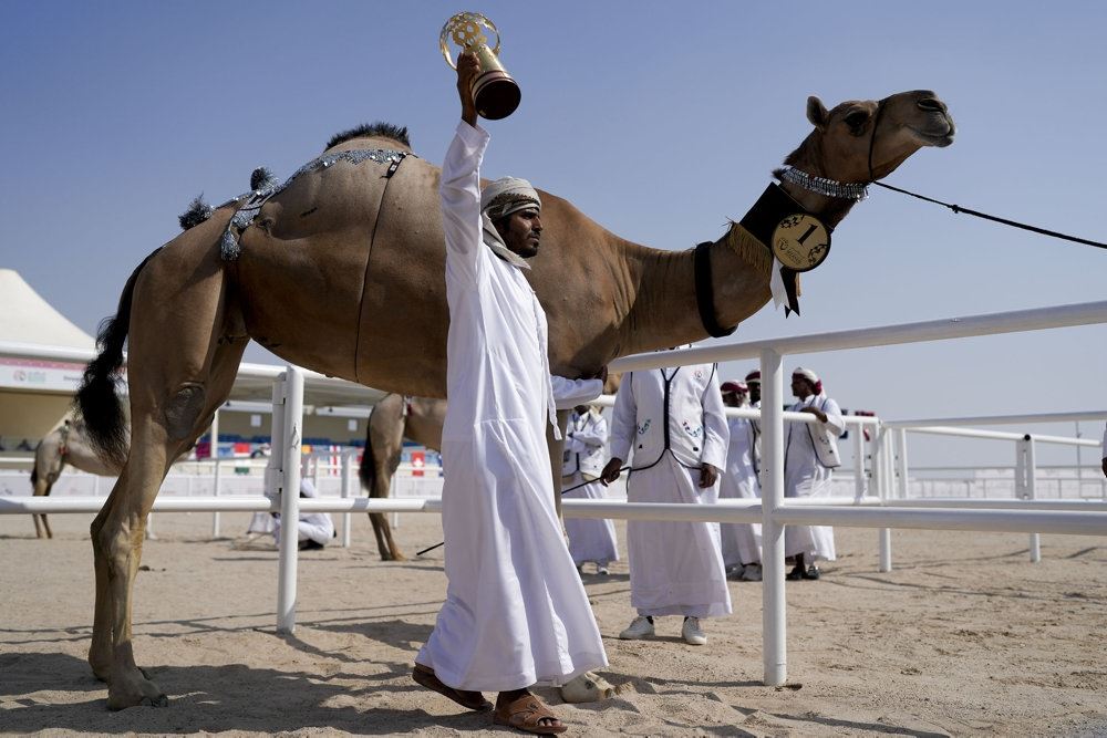 beduien med kamel