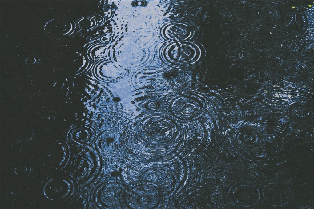 regn i en vandpyt