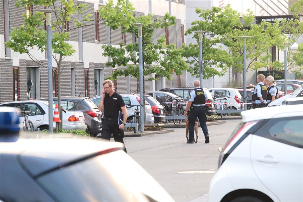 Politifolk med hunde går rundt på en parkeringsplads