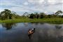 Amazonas jungeln, hvor et barn i en primitiv båd sejler på floden