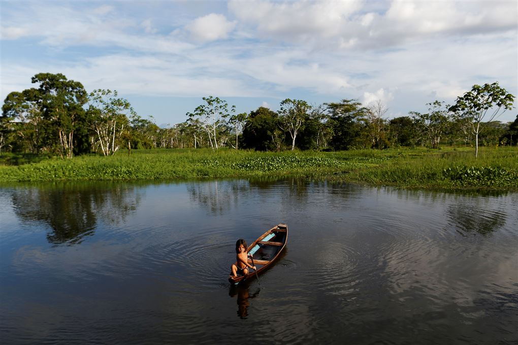 Amazonas jungeln, hvor et barn i en primitiv båd sejler på floden