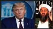 Donald Trump til pressemøde og Osama Bin Laden