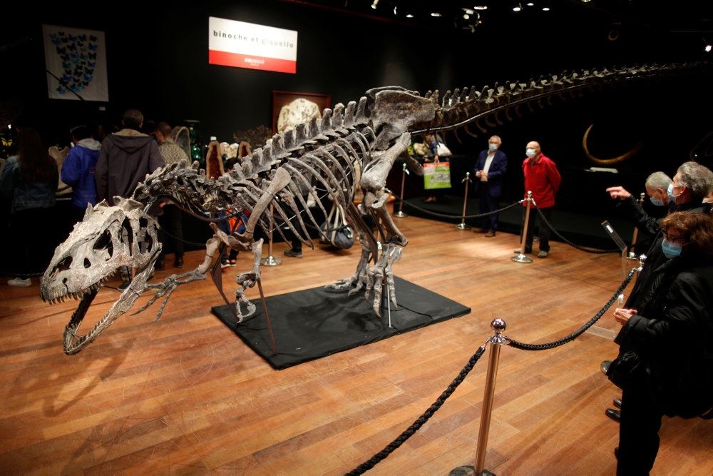 folk kigger på dinosaurskelet på udstilling