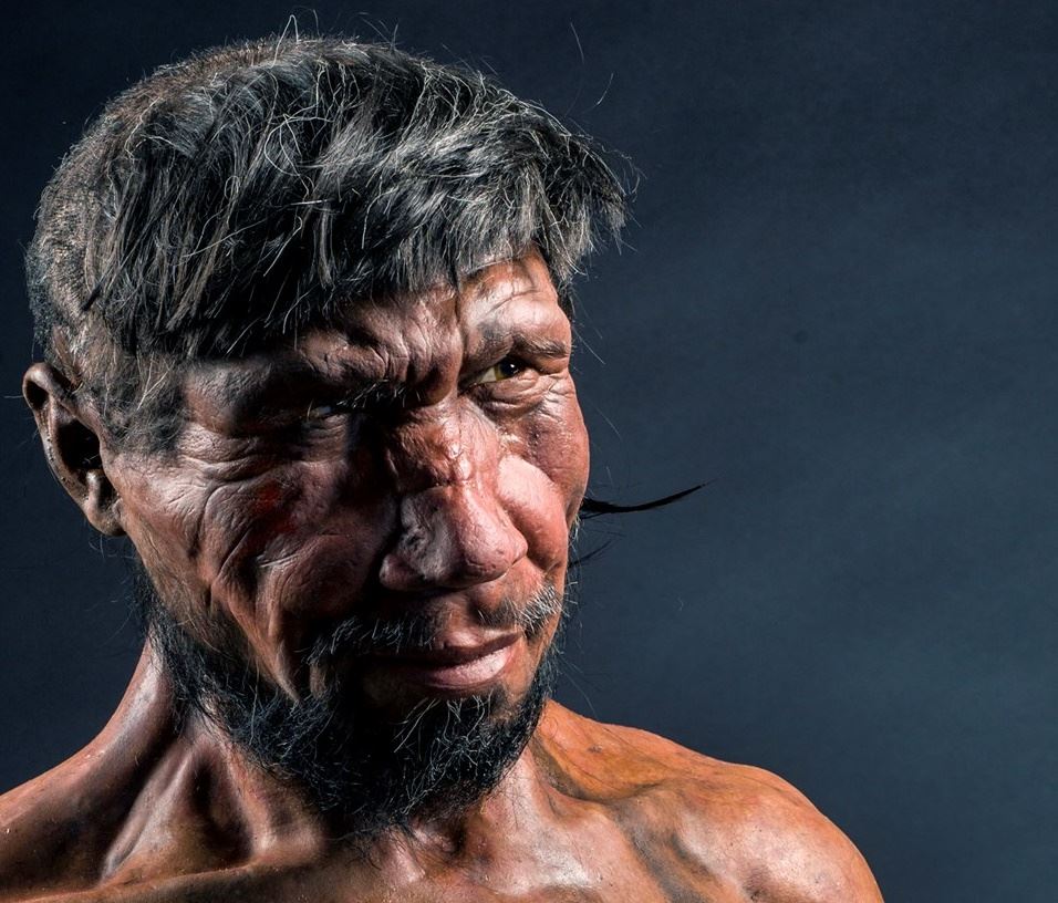 neandertaler 