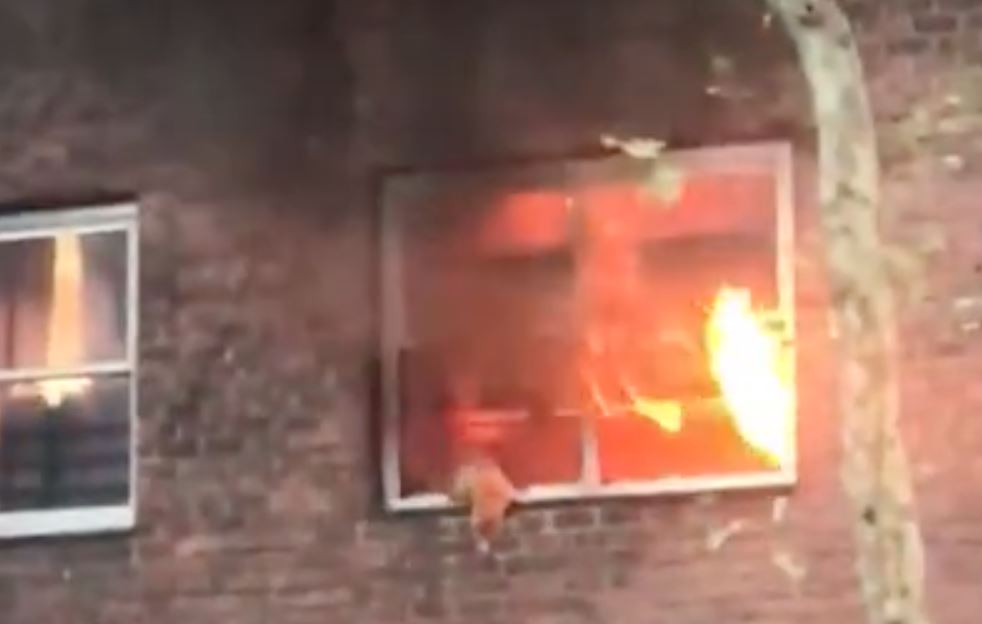 En kat hænger i et vindue, mens flammerne ses bag den