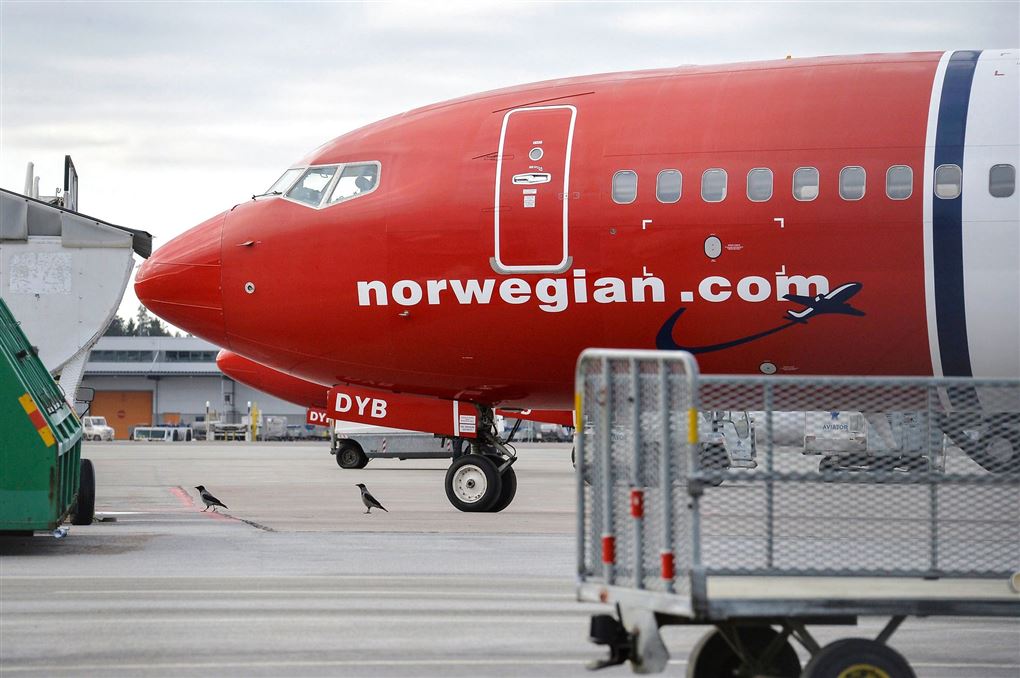 Spidsen af Norwegian-fly.