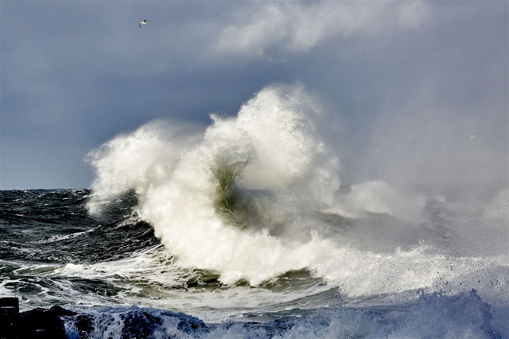 Store bølger i hård vind