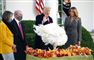 Donald Trump løfter hånden foran kalkun foran det hvide hus