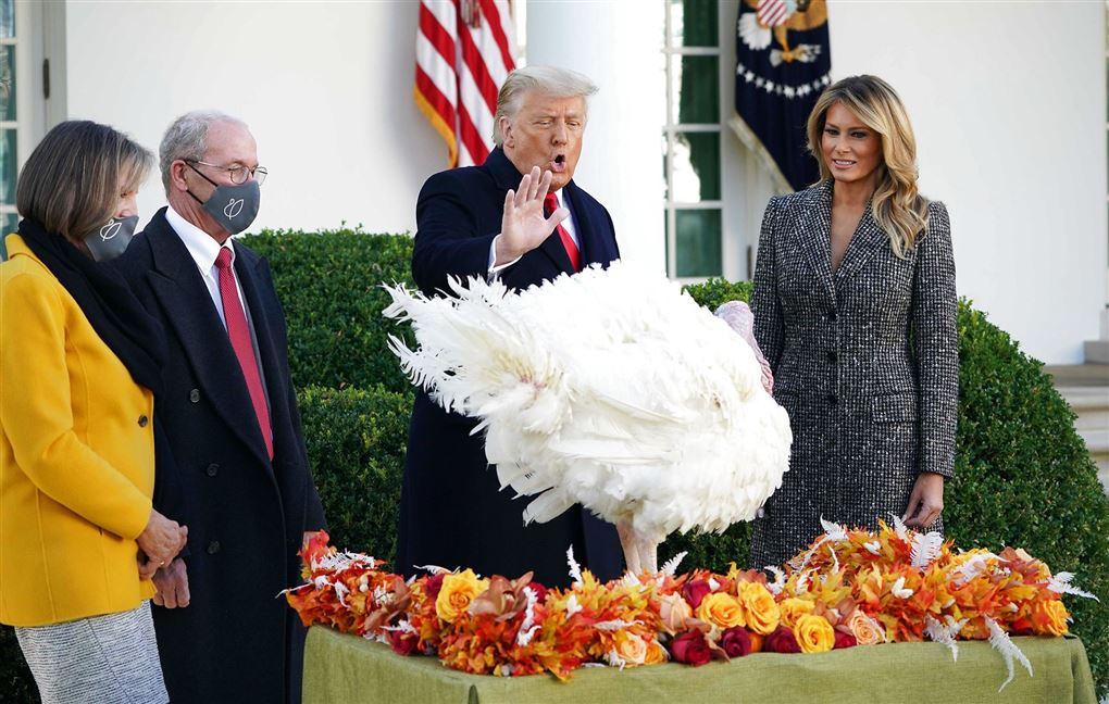 Donald Trump løfter hånden foran kalkun foran det hvide hus