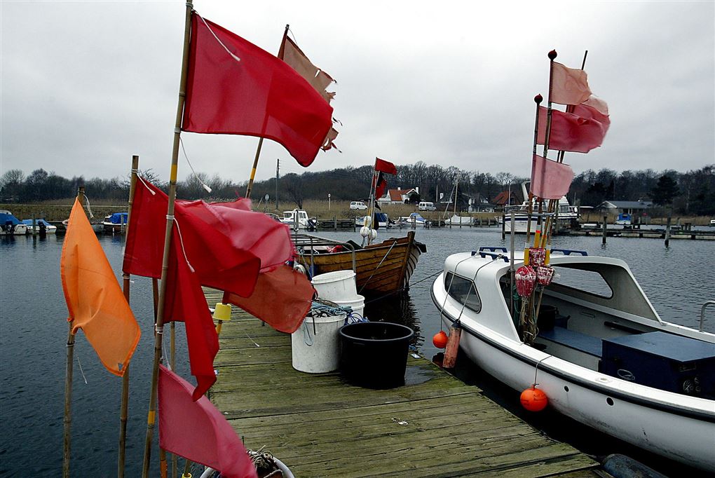 En lille fiskerbåd ved en mole
