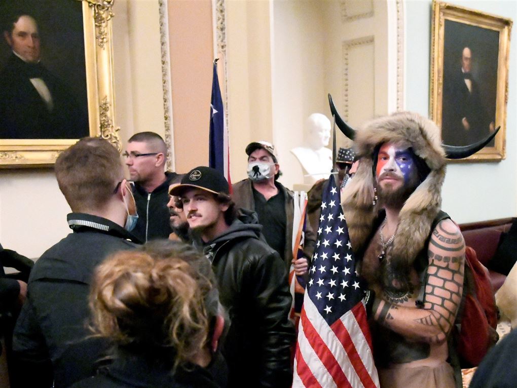 mand med ansigtsmaling og horn i panden sammen med andre demonstranter