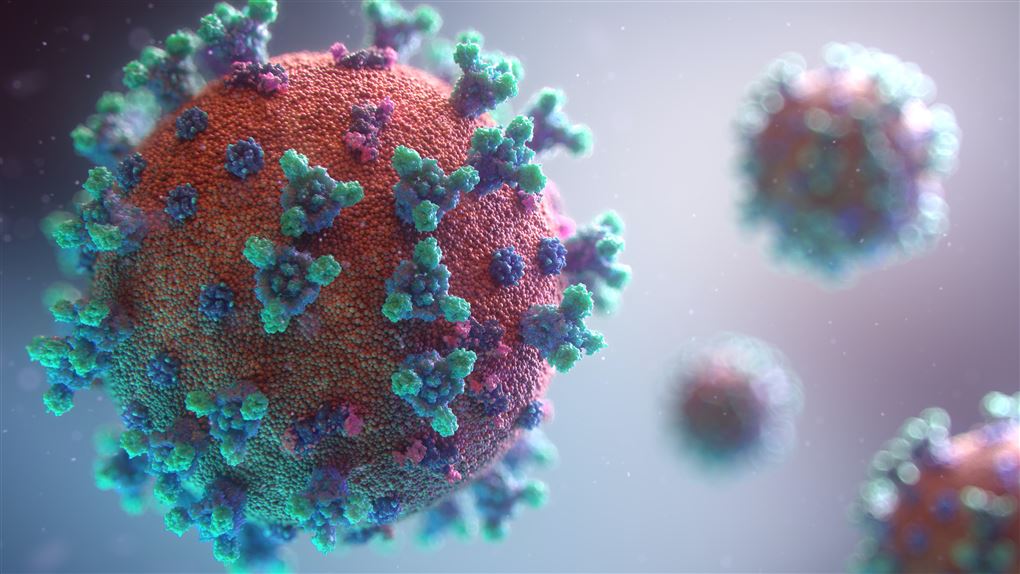 Ilustration af en corona virus. Det er en lyserød cirkel med små lyseblå gevækster på