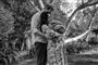 Prins harry holder om gravide Meghan Markle der står med parrets søn archie i armene
