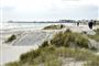 et klitområde på Skagen