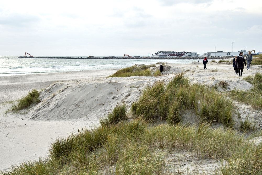 et klitområde på Skagen
