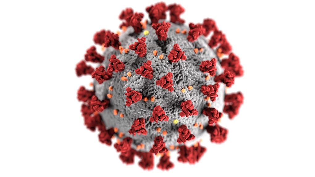 Et forstørret corona-virus