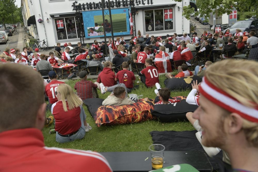 billede af danske fans