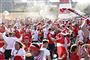 danske fodboldfans jubler