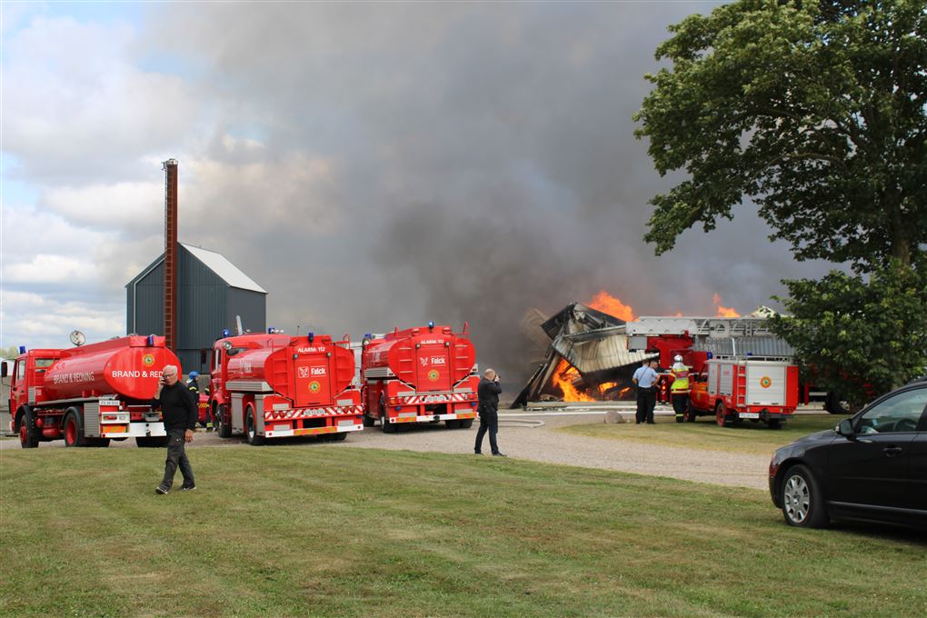 brand