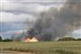 brand