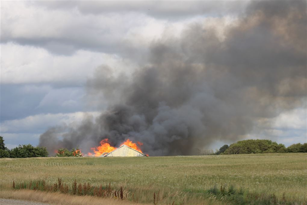 brand