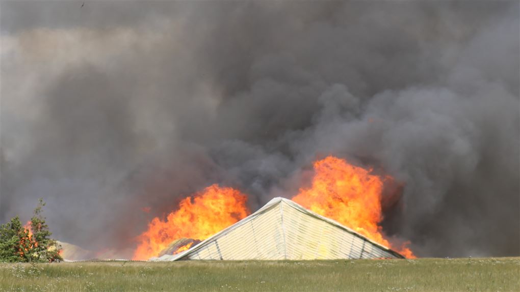 brand
