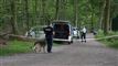 politiet leder med hunde i skoven
