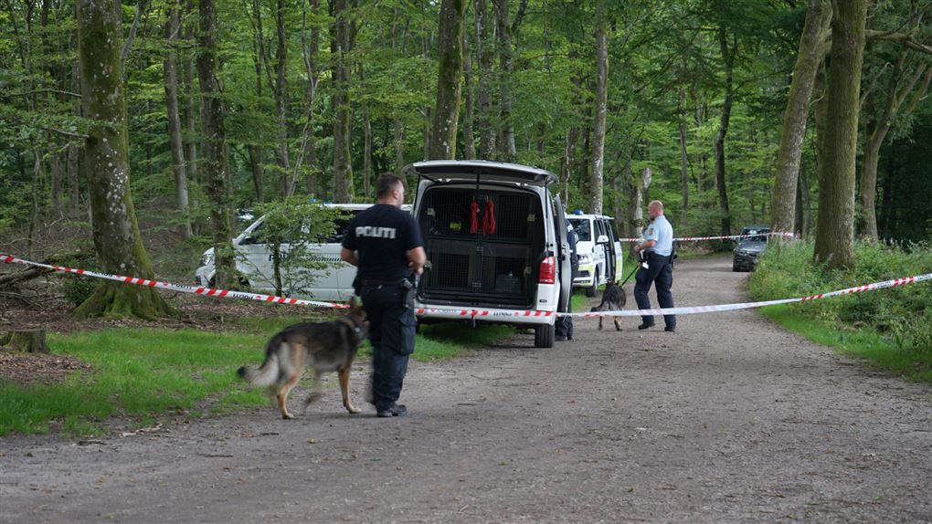 politiet leder med hunde i skoven