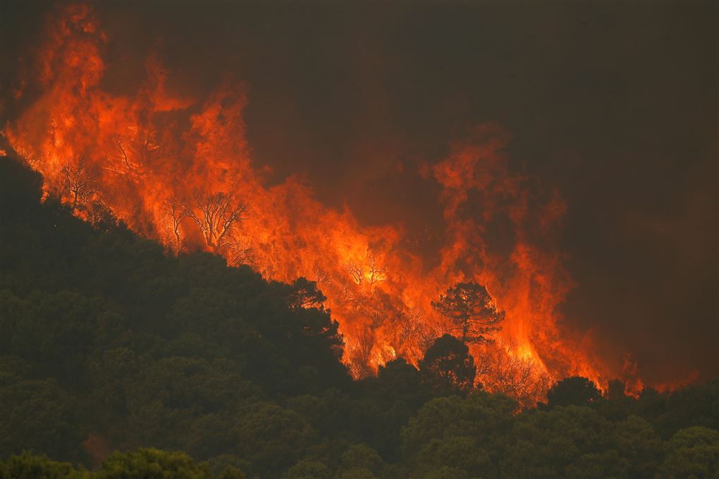 brand på bjergkæden Sierra Bermeja