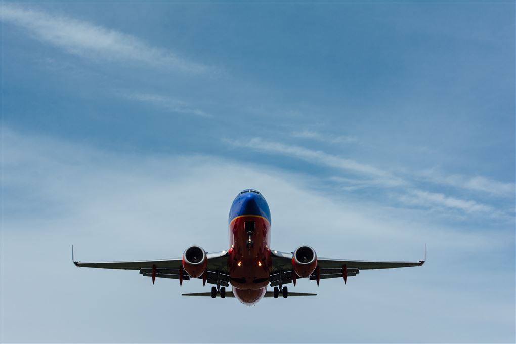 Et fly i luften