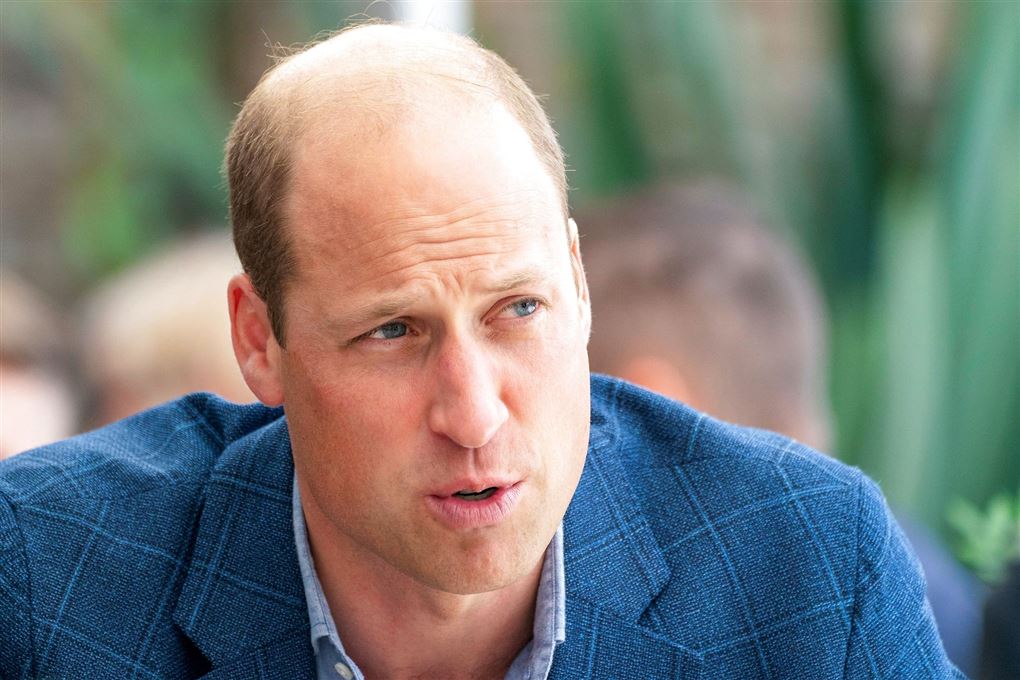 prins william taler 