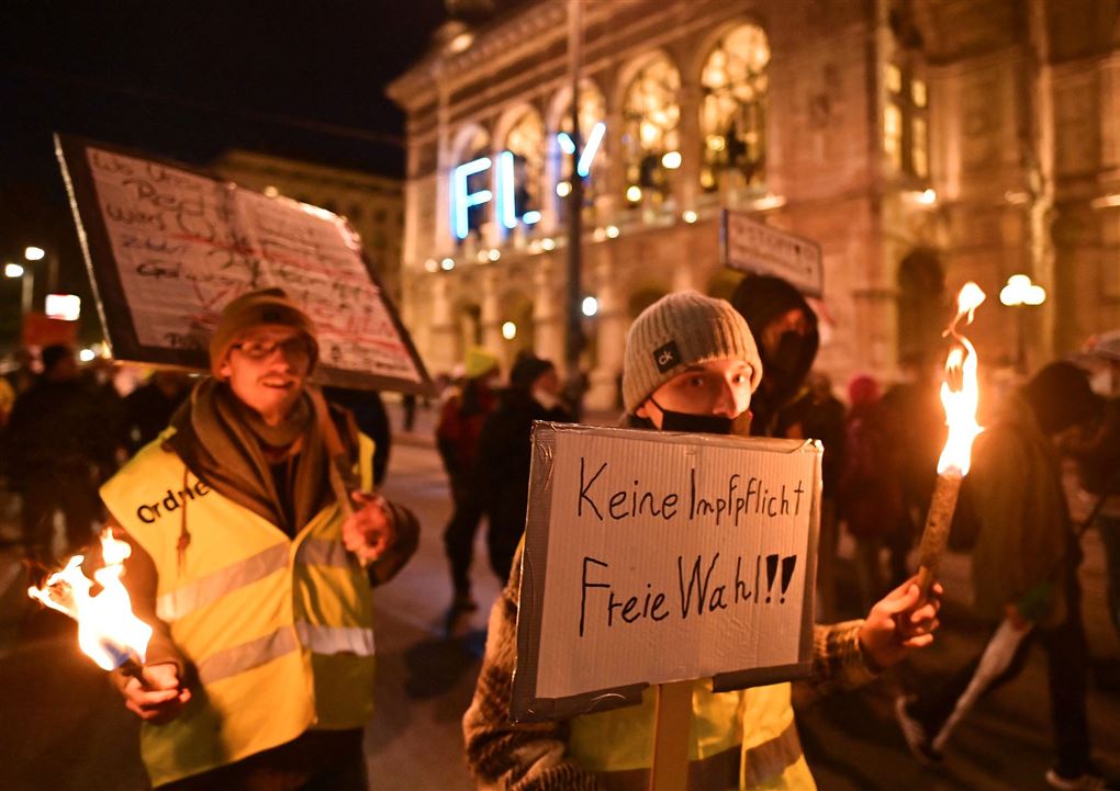demontrsnter med skilte i Wien