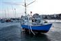  forhøjet vandstand i Hornbæk havn