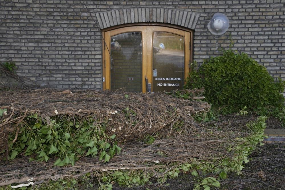  efeu ligger på gaden