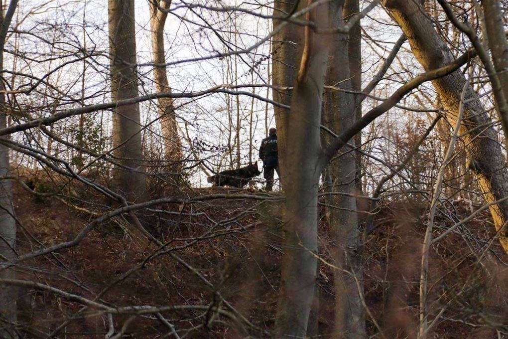 politimand med hund i skov