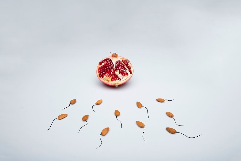 mandler og frugt skal forestiller sædceller på vej mod befrugtning