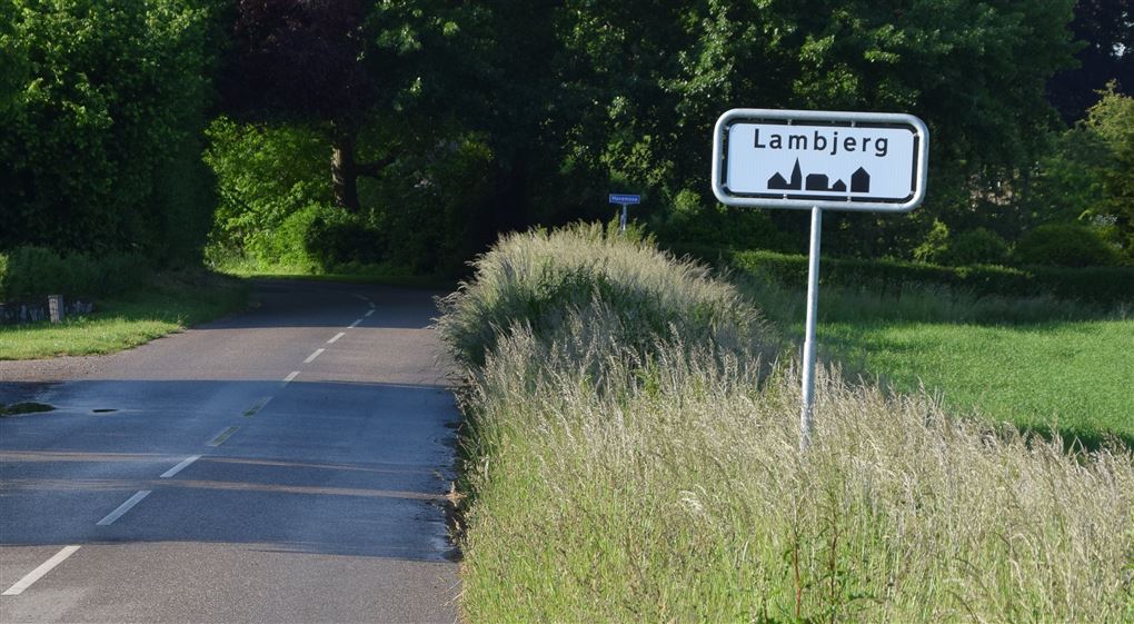 byskilt Lambjerg