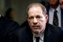 Portrætbillede af Harvey Weinstein