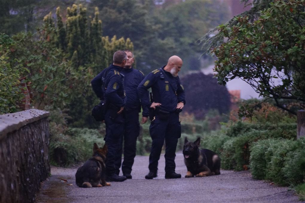 betjente med hunde