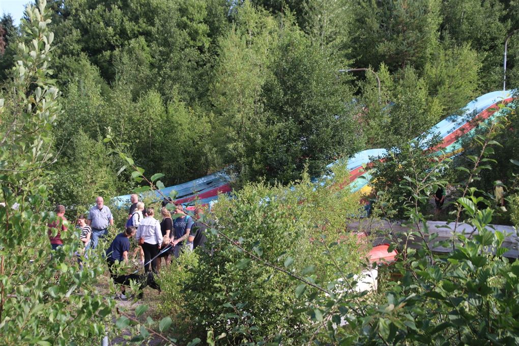 folk i park