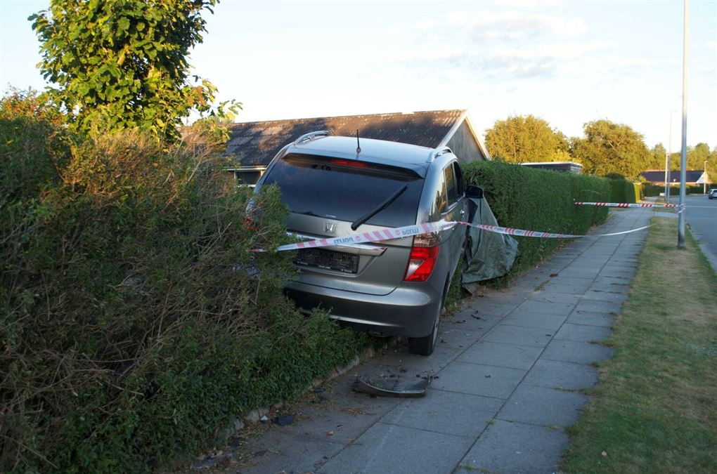 bil kørt ind i hæk
