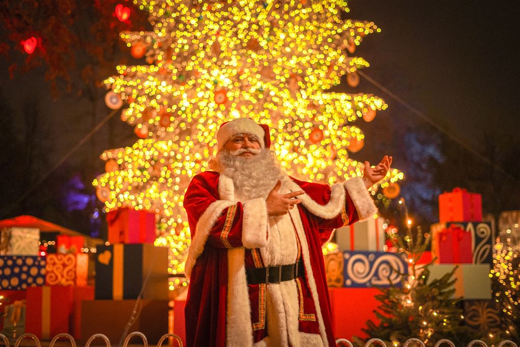 En julemand foran et stort træ