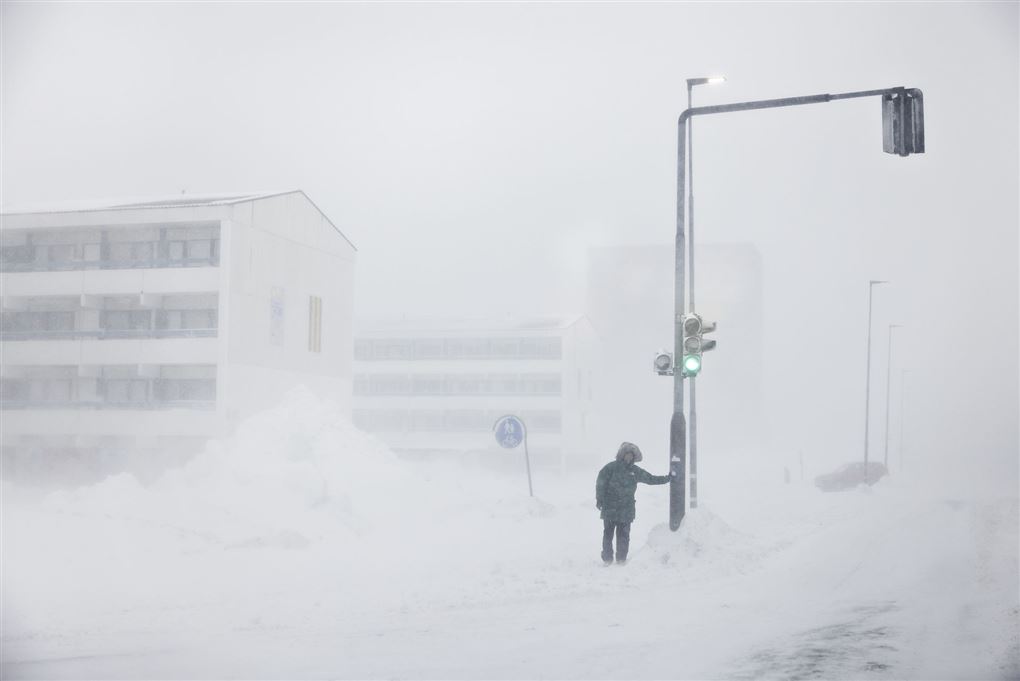 masser af sne
