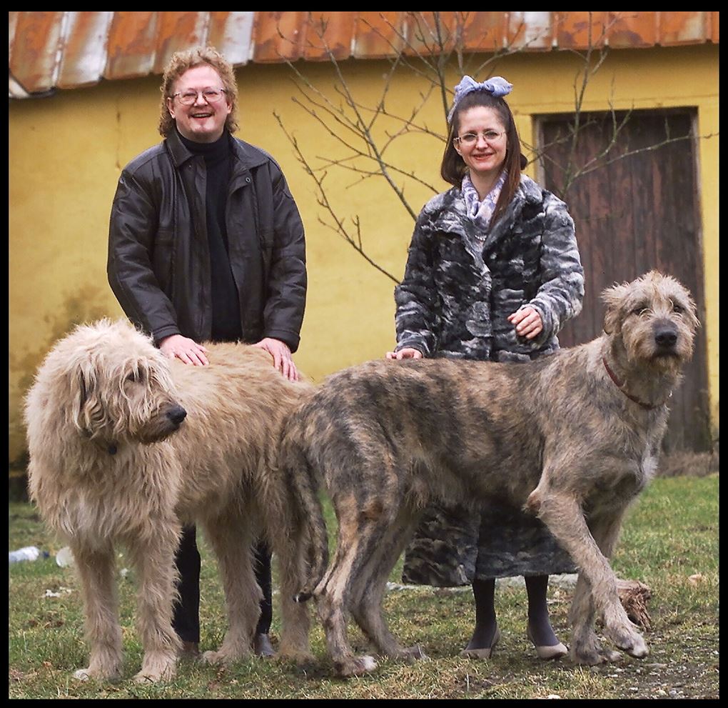 par med to store hunde