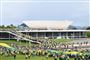 stadion