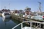 havn i skagen