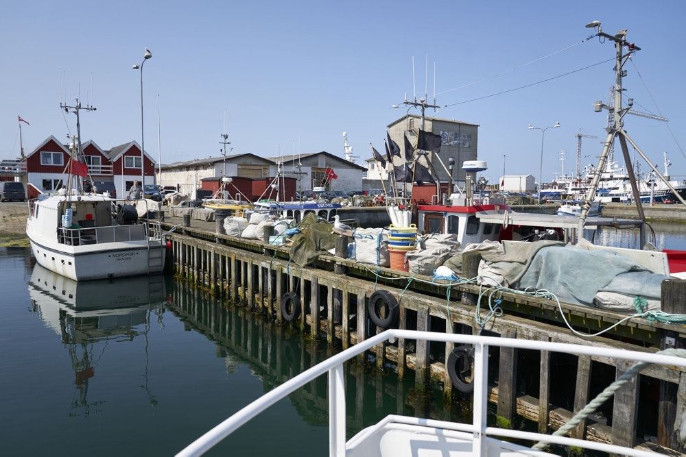 havn i skagen